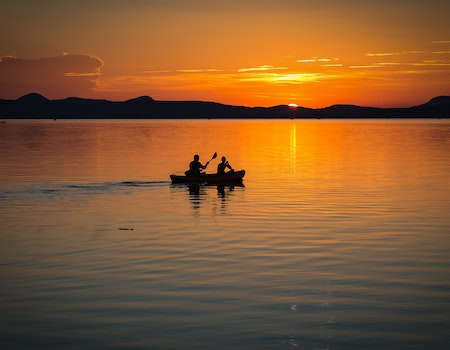 Best Binocular For Rowing