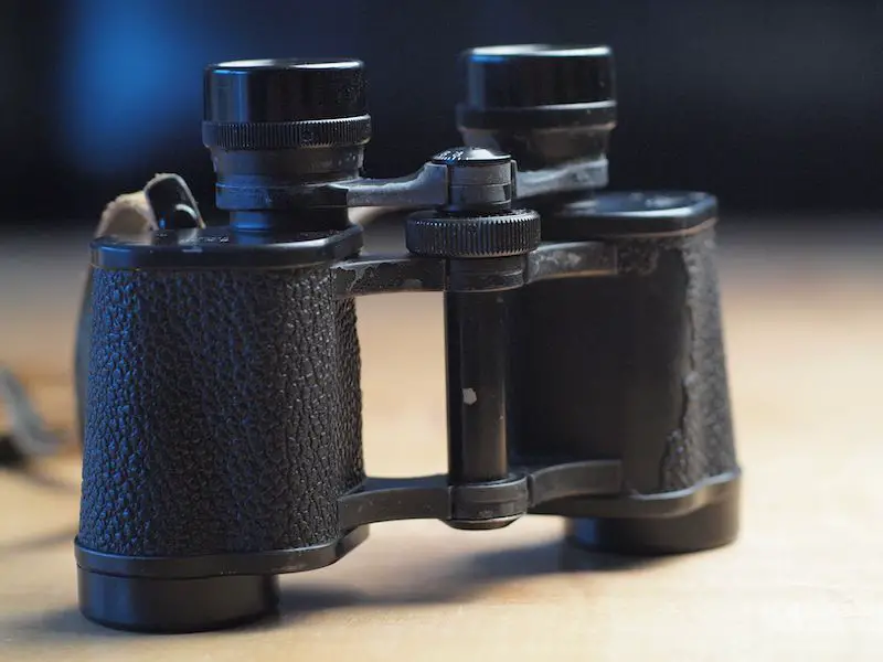 How to Value Swarovski Binoculars