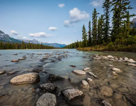 How to Choose Binoculars For Hunting in Canada