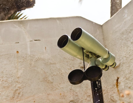 How to Clean Antique Bone Binoculars