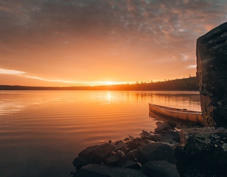 How to Choose Binoculars For Hunting in Minnesota