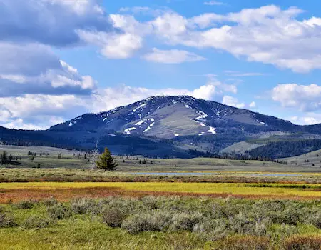 How to Choose Binoculars For Hunting in Montana