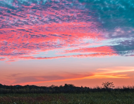 How to Choose Binoculars For Hunting in Costa Rica