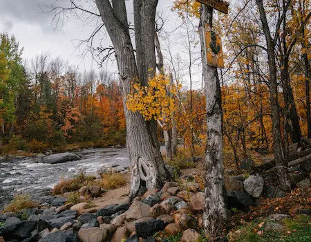 How to Choose Binoculars for Hunting in Late October