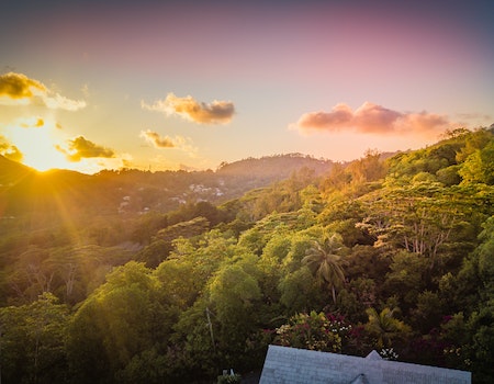 How to Choose Binoculars For Hunting in Seychelles