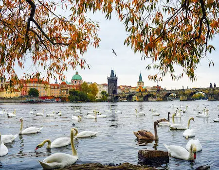 How to Choose Binoculars For Hunting in Prague