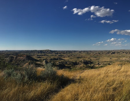 How to Choose Binoculars For Hunting in South Dakota